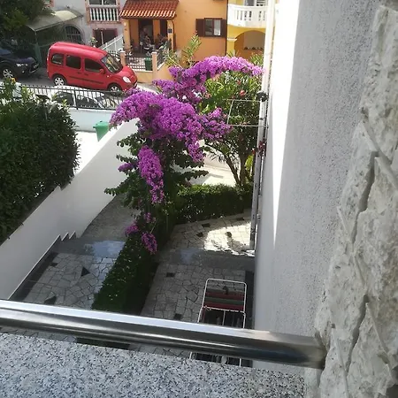 Pejić *