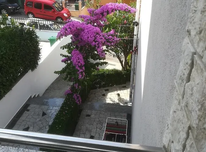 Pejic *